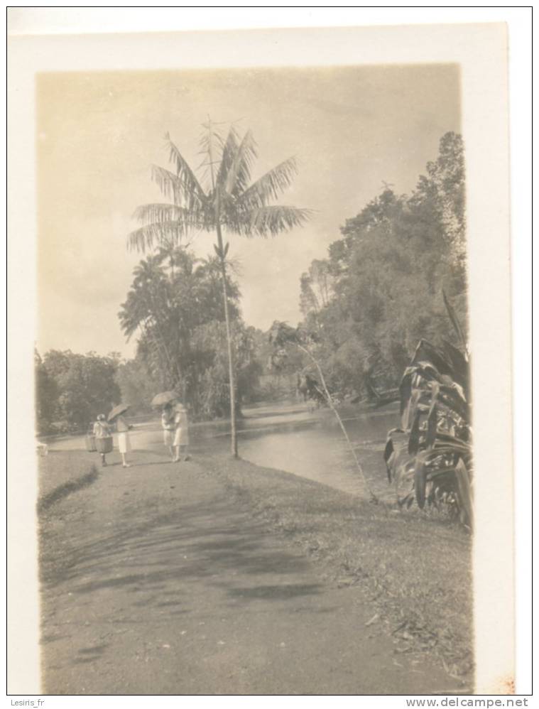 PHOTO - COIN DE JARDIN DE SINGAPORE - MALAIS PORTANT DEUX CORBEILLES AUX EXTREMITES D'UN BATON - Luoghi