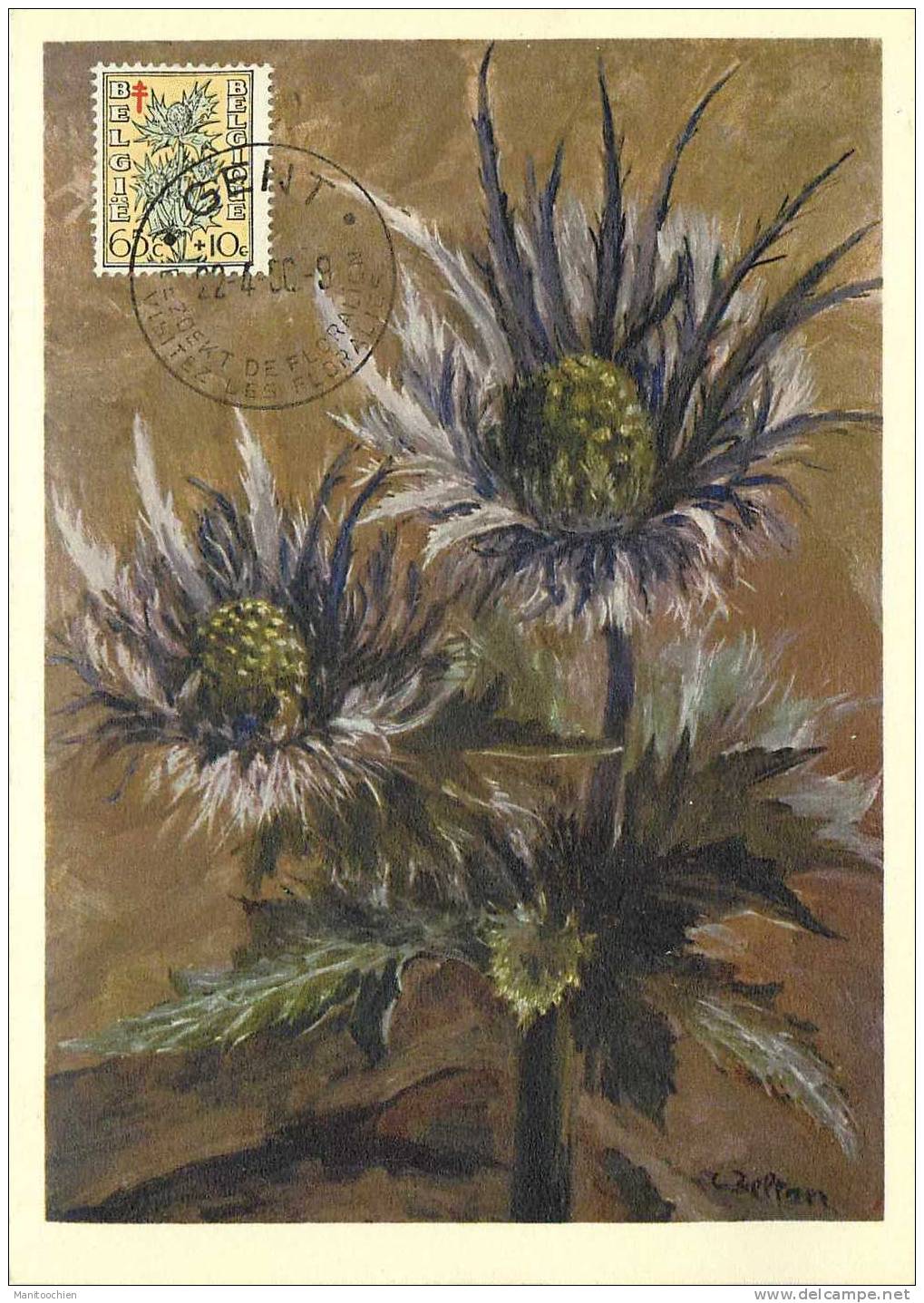 BELGIQUE   CARTE MAXIMUM FLEURS 1951 - 1934-1951