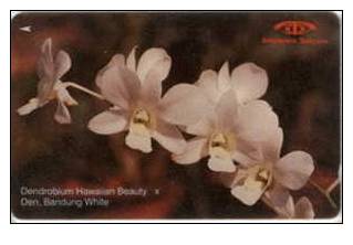 # SINGAPORE 11SIGC Orchis Series - Hawaiin Beauty 10 Landis&gyr -fleurs,flowers- Tres Bon Etat - Singapur