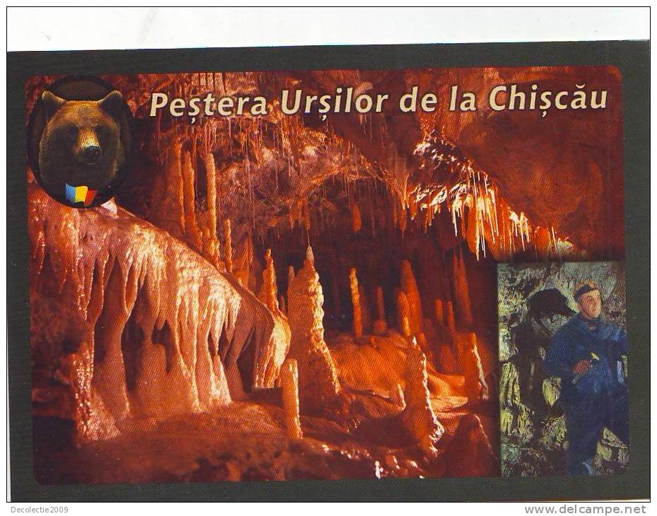 S769 Romania Minereaux Minerals Caves Speology Bears Cave Chiscau Ursus Speleus Found Not Used Perfect Shape - Bears