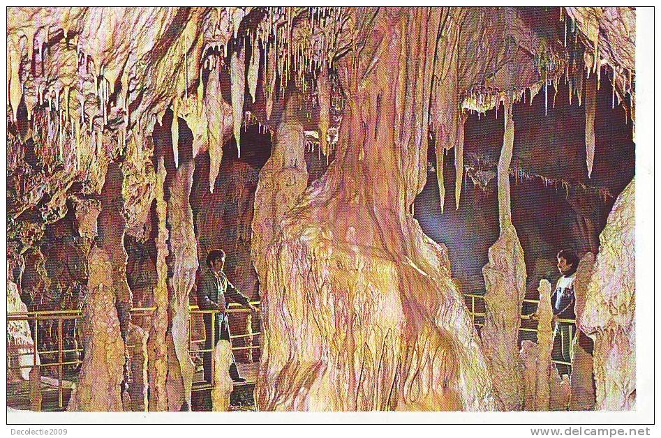 S829 Romania Minereaux Minerals Caves Speology Bears Cave Chiscau Ursus Speleus Found Not Used Perfect Shape - Beren