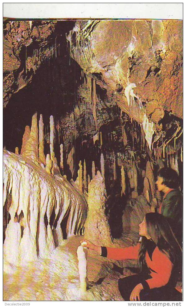 S830 Romania Minereaux Minerals Caves Speology Bears Cave Chiscau Ursus Speleus Found Not Used Perfect Shape - Beren