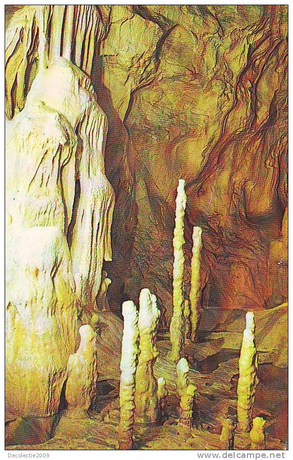 S837 Romania Minereaux Minerals Caves Speology Bears Cave Chiscau Ursus Speleus Found Not Used Perfect Shape - Beren