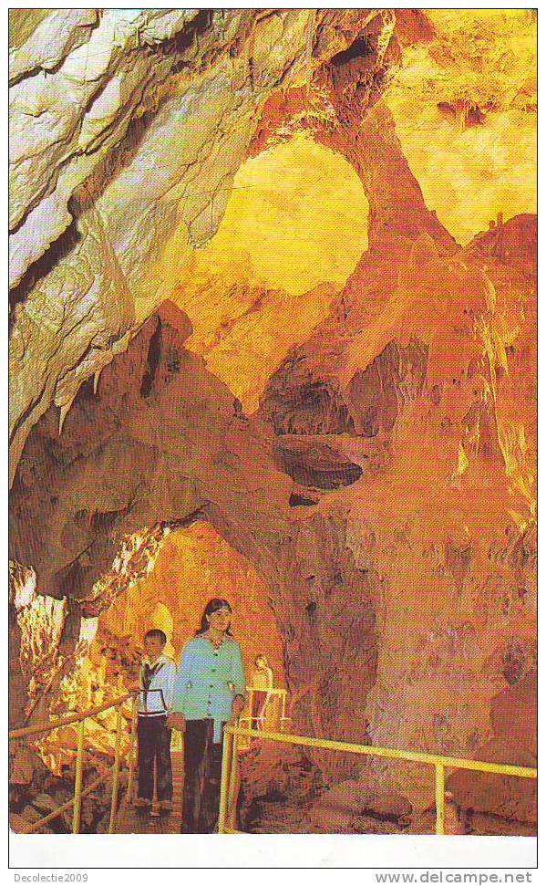 S848 Romania Minereaux Minerals Caves Speology Bears Cave Chiscau Ursus Speleus Found Not Used Perfect Shape - Beren