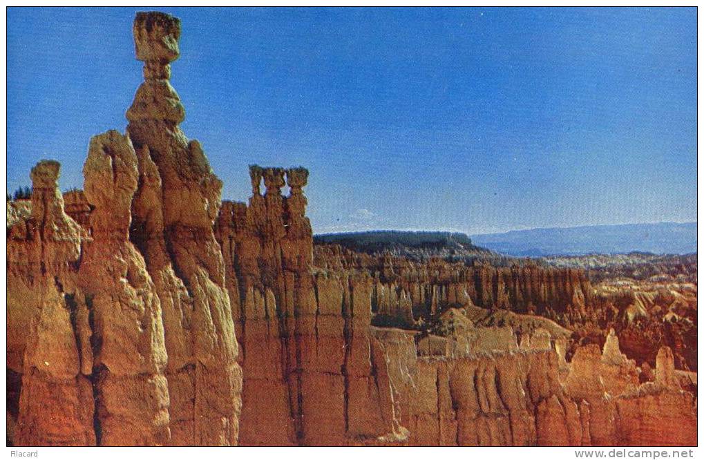 10623   Stati  Uniti  Utah  Brice  Canyon  National  Park   The  Temple Of  Osiris  VG  1953 - Bryce Canyon