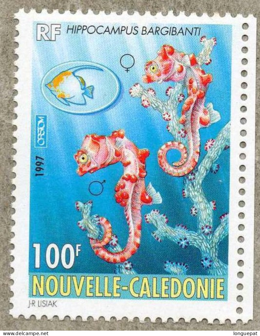 NOUVELLE-CALEDONIE  : 5ème Conférence Sur Les Poissons De L'Indo-Pacifique à Nouméa : Logo, Hippocampus Bargibanti - Ungebraucht