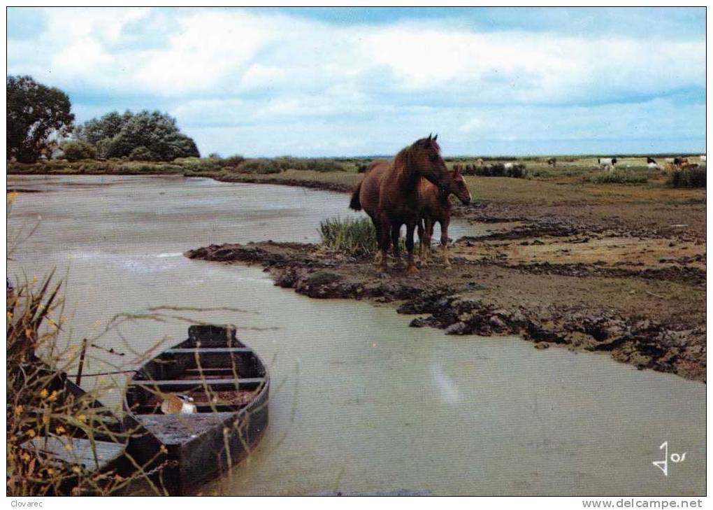 LA GRANDE BRIERE "le Port De La Chaussée  Neuve A Saint André Des Eaux" - Autres & Non Classés