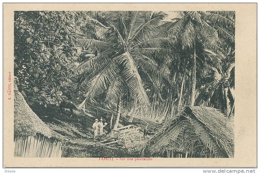 Tahiti  Sur Une Plantation E. Hanni Editeur - Tahiti