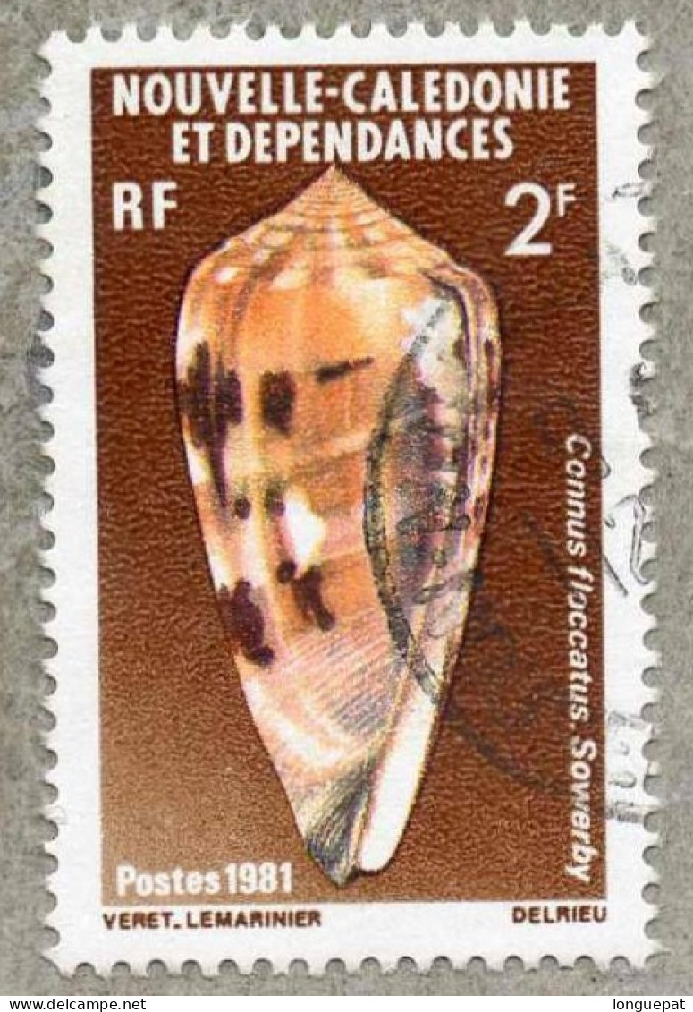NOUVELLE-CALEDONIE  : Coquillages - Connus Floccatus   (mollusque Appartenant à La Famille Des Conidae) - Oblitérés
