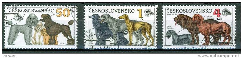 Chiens - Caniche, Lèvriers, Terriers - TCHECOSLOVAQUIE - Exposition Canine - N° 2855-2856-2857 - 1990 - Usados