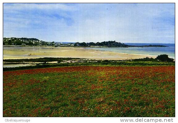 29 LOCQUIREC PRESQU ILE VUE DU FOND DE LA BAIE EN 1978 N ° 133 76 - Locquirec