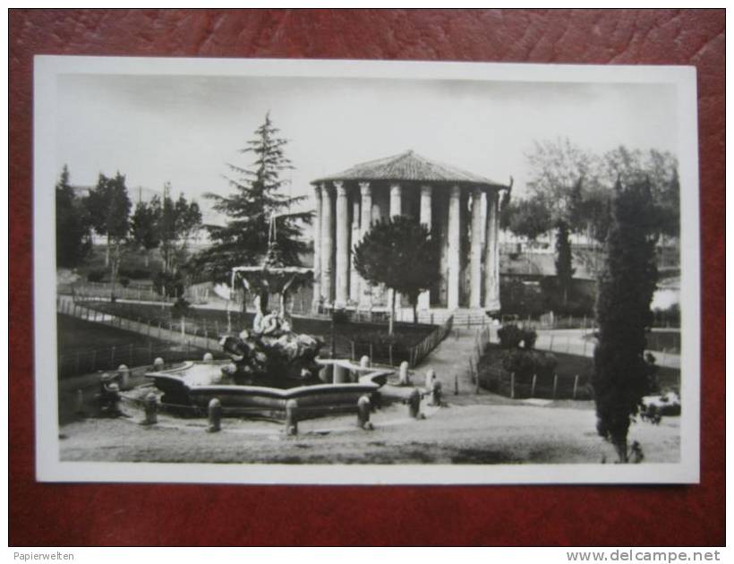 Roma - Tempio Di Vesta - Parken & Tuinen