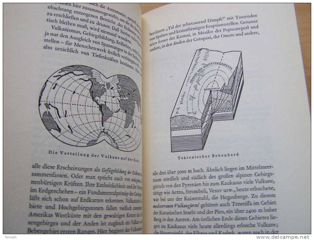 DIE ERDFIBEL-Entdeckung Und Geschichte Unseres Sterns-Mensch Erde Planet Geschichte-Natur-illustrations- - Botanik