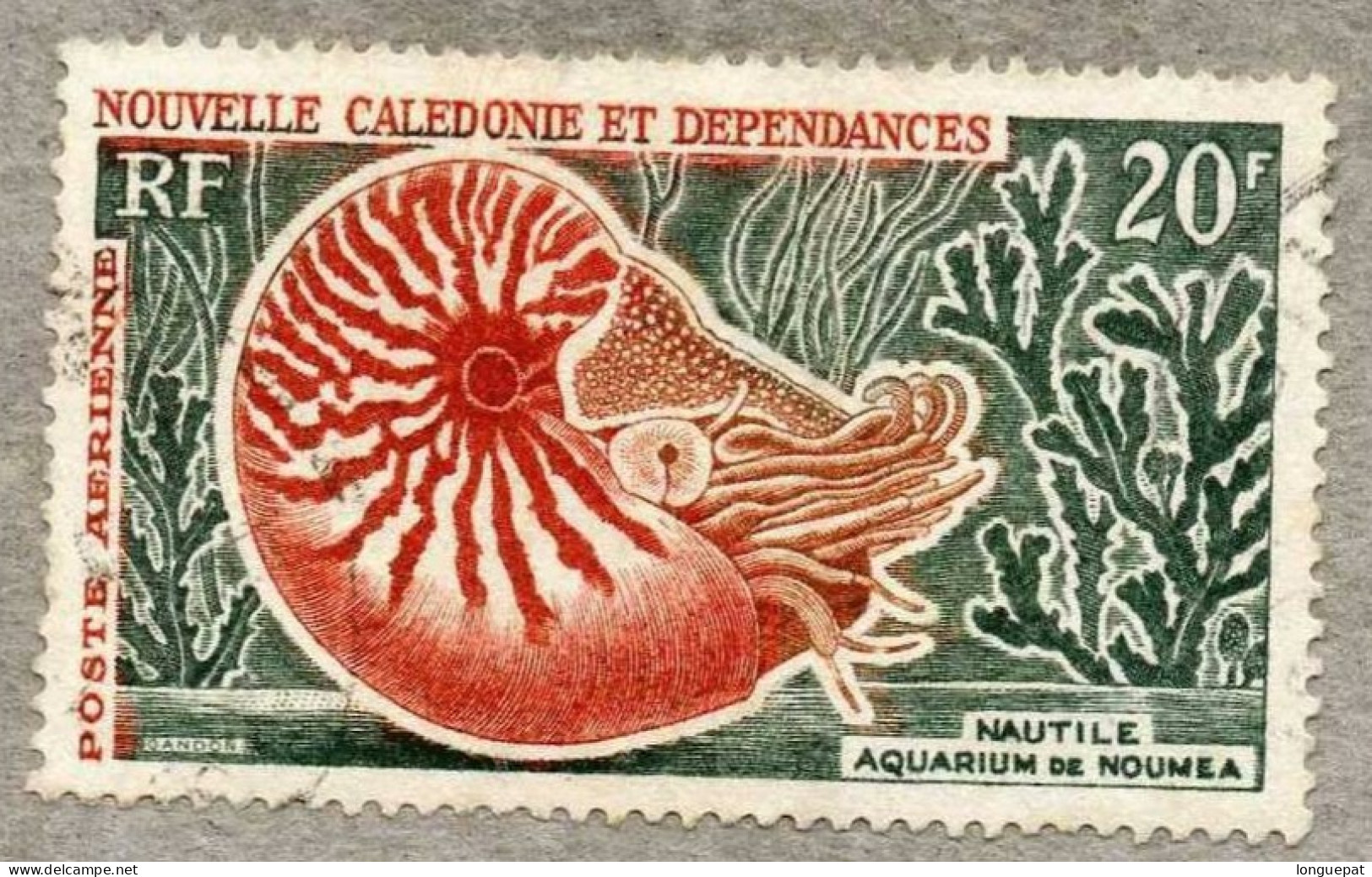 NOUVELLE-CALEDONIE  : Nautile (céphalopodes Tétrabranchiaux Marins) - Série Courante - Gebraucht