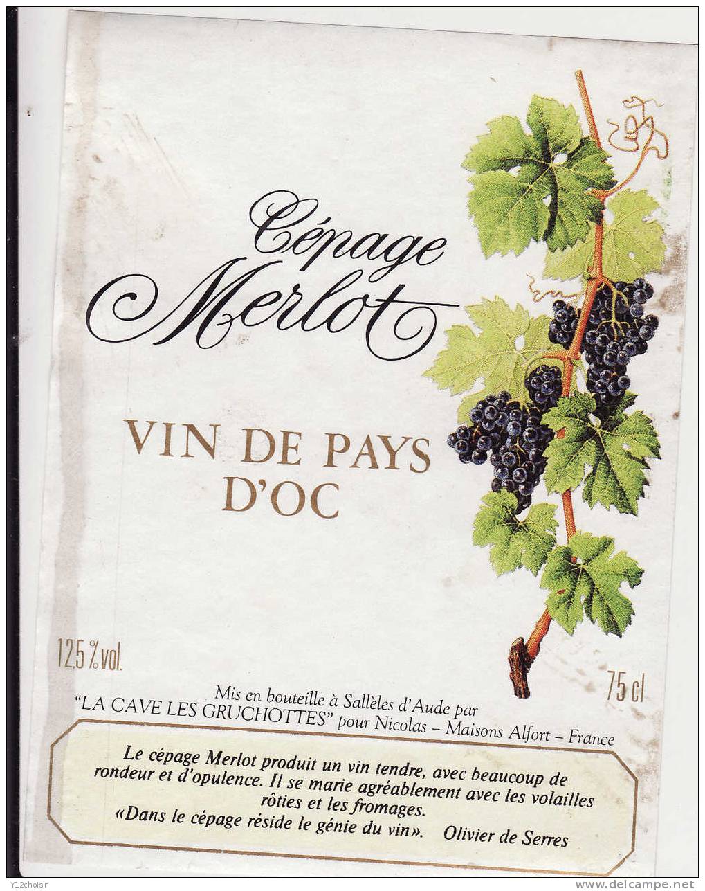 ETIQUETTE CEPAGE VIN DE PAYS D OC RAISINS RAISIN SALLELES D AUDE LA CAVE LES GRUCHOTTES - Vin De Pays D'Oc