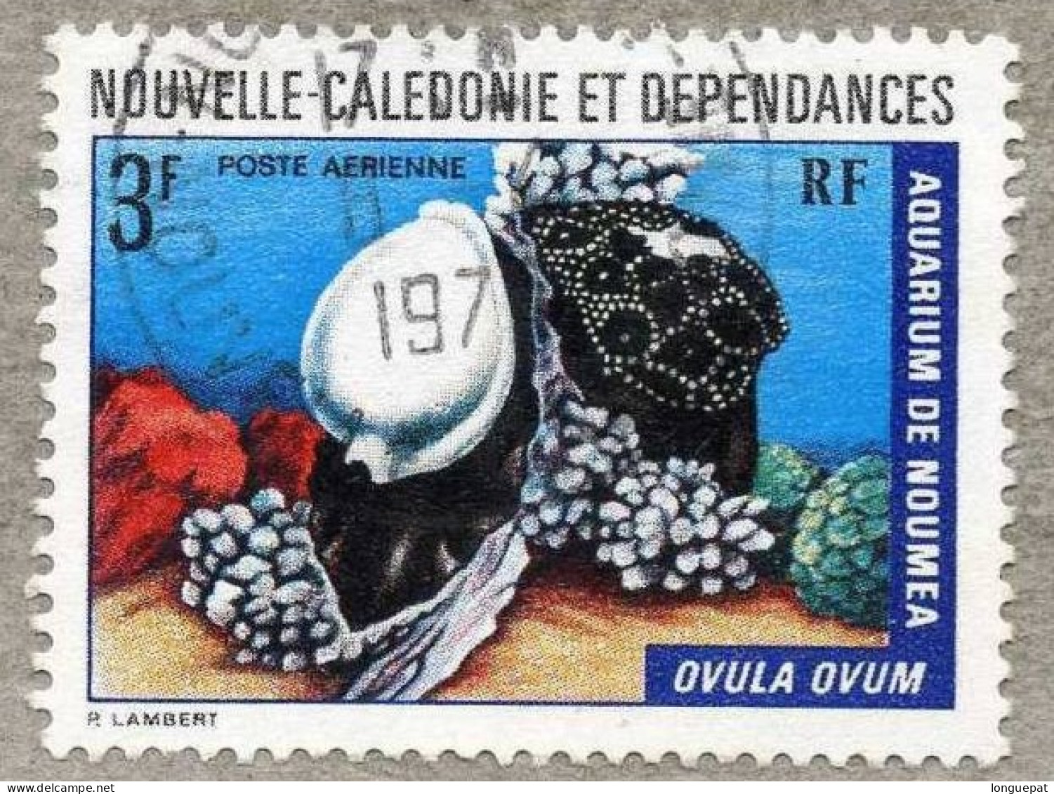 NOUVELLE-CALEDONIE  :   Aquarium De Nouméa : Ovula Ovum - Gebruikt