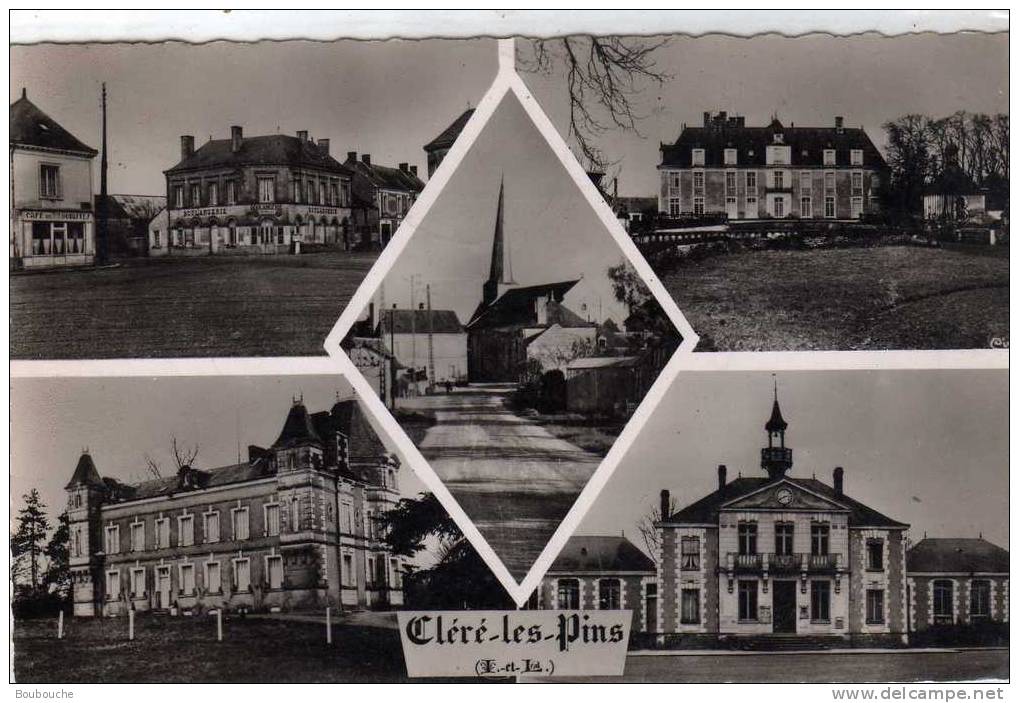 CPSM De CLERE LES PINS - Cléré-les-Pins