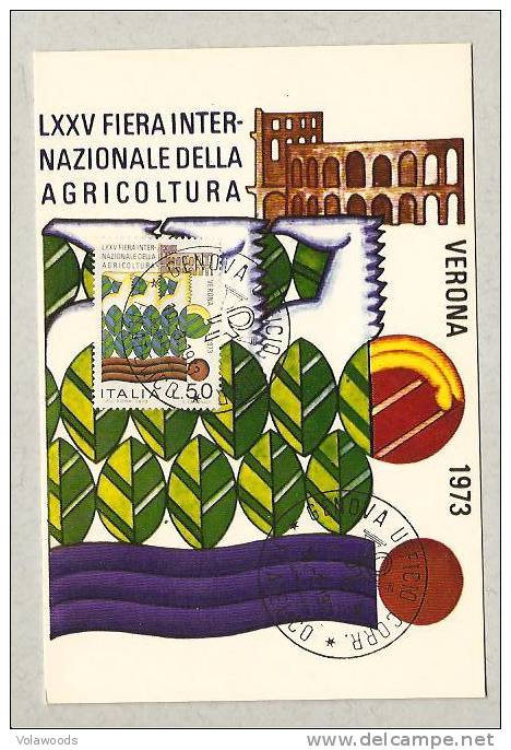 Italia - Cartolina Maximum: 75° Anniversario Della Fiera Dell´agricoltura Di Verona - Maximumkaarten