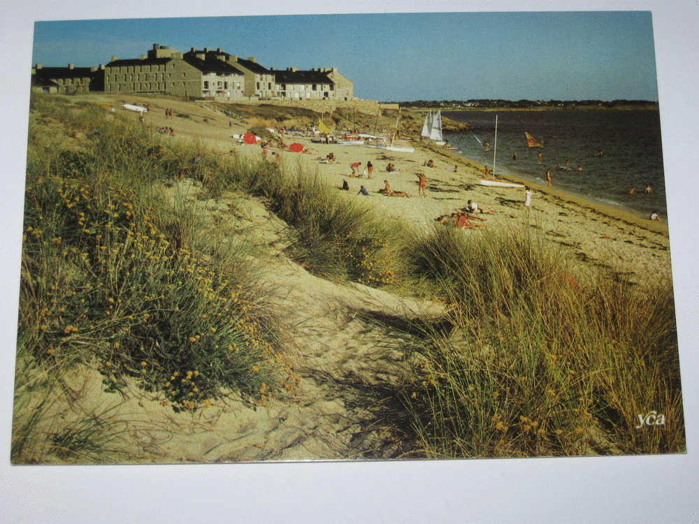 CS23 *(vente Directe)    *  Arzon La Plage De Kerjouanno 7165 Belles Editions De Bretagne - Arzon