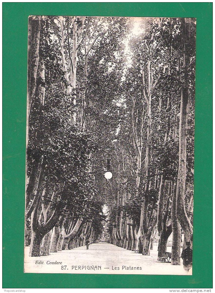 CPA 66 PERPIGNAN No.87 LES PLATANES MORE CARDS LISTED @ 1 EURO - Perpignan