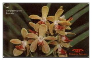 # SINGAPORE 11SIGB Orchis Series - Vandaenopsis Twinkle 10 Landis&gyr -fleurs,flowers-  Tres Bon Etat - Singapur