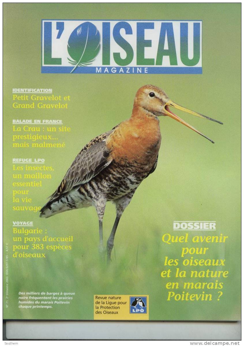 L´ Oiseau Magazine N° 71 Bulgarie Gravelot La Crau Fauvette Guifette Chevaliers Gambettes Vanneau Mante Religieuse - Dieren