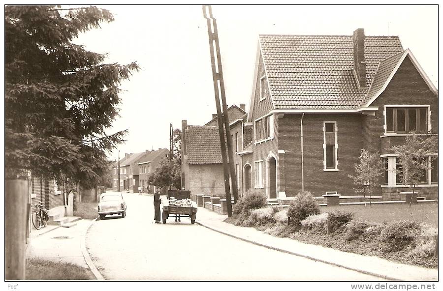 Eigenbilzen : Winkelomstraat - Bilzen