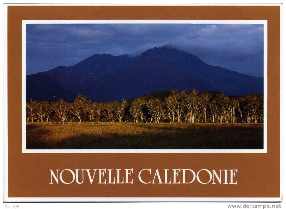 CPM - Savane De Niaoulis - Nouvelle Calédonie