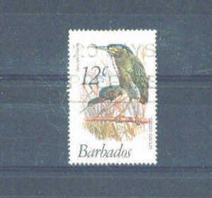 BARBADOS - 1979 Birds 12c FU - Barbades (1966-...)