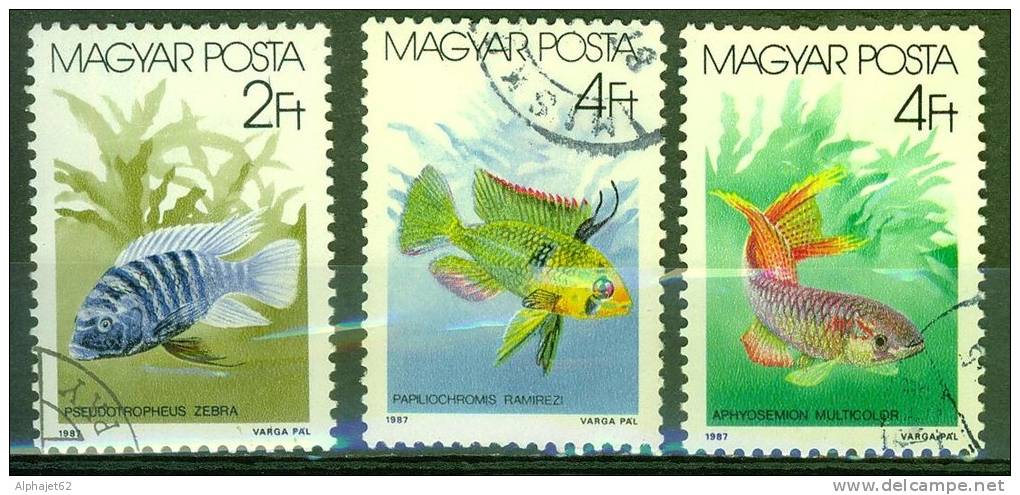 Poisson D'aquarium - HONGRIE - Pseudotropheus Zebra, Aphiosemion Multicolor, Papillochromis - N° 3088-3090-3091 - 1987 - Usado