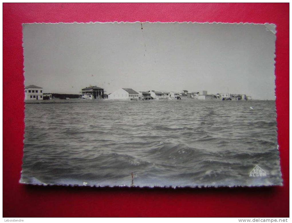 CPSM-AFRIQUE -ALGERIE -PETIT PORT VU DE LA MER  -VOYAGEE 1955 AVEC UN BEAU TIMBRE -3 PHOTOS RECTO / VERSO - Autres & Non Classés