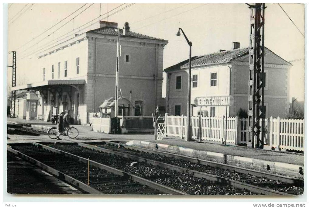 VERGEZE-CODOGNAN   -   La Gare SNCF. - Vergèze