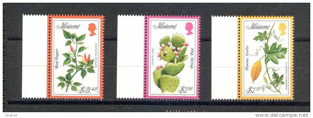 Montserrat  Scott # 929 - 932 MNH VF Complete Succulant Plants (G 34 ) - Montserrat