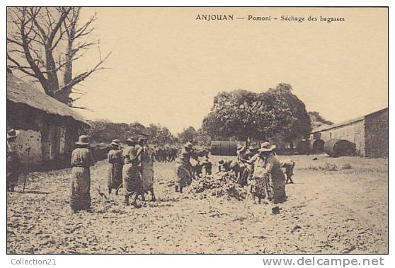 COMORES ... ANJOUAN ... POMONI ... SECHAGE DES BAGASSES - Comores