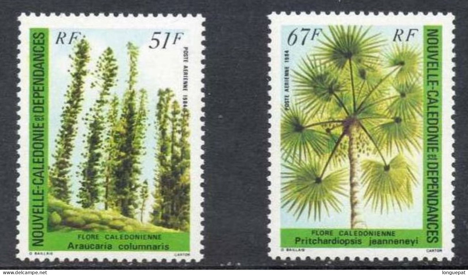 NOUVELLE-CALEDONIE  :  Arbres- Flore Calédonienne :Araucaria Columnaris (pin Colonaire) - Pritchardiopsis Jeanneneyi - Ongebruikt