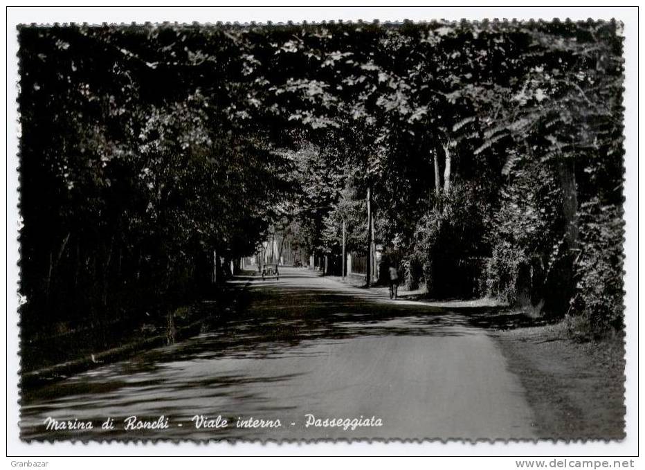 MASSA, VIALE DI MARINA DI RONCHI, B/N, VG 1956, ANIMATA   **** - Massa