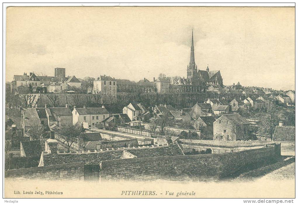 PITHIVIERS / VUE GENERALE - Pithiviers