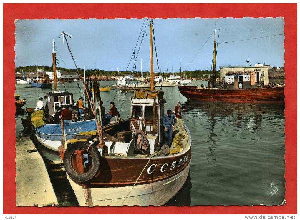 * CONCARNEAU-Le Port(Bateaux De Pêche Numérotés,animés,enfants) - Concarneau