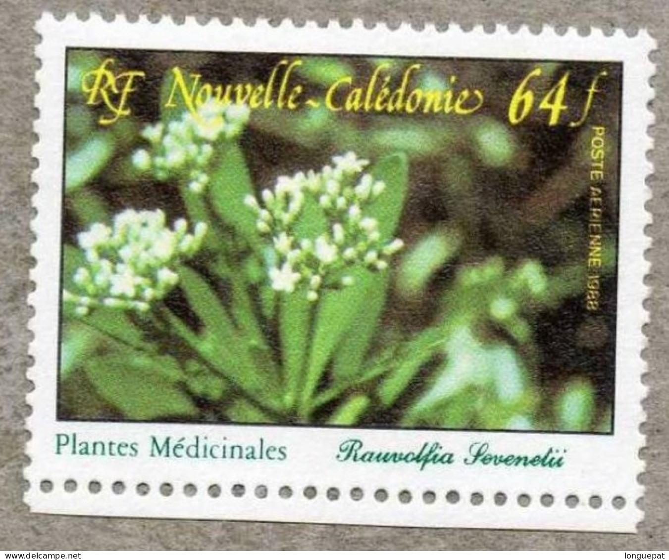 NOUVELLE-CALEDONIE  : Flore Calédonienne : Plante Médicinale (Rauvolfia Sevenetii) - Ongebruikt