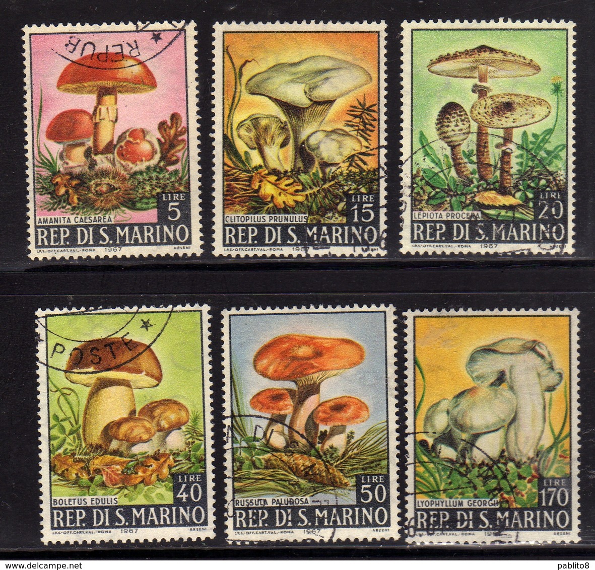 REPUBBLICA DI SAN MARINO 1967 FUNGHI MUSHROOMS CHAMPIGNONS PILZE HONGOS COGUMELOS SERIE COMPLETA COMPLETE SET USATA USED - Oblitérés