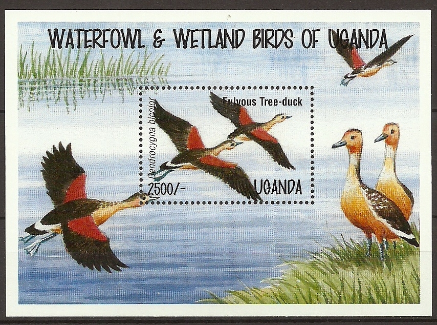 Uganda 1995 Birds Oiseaux  Aves Pygmy Duck Sheet MNH - Entenvögel