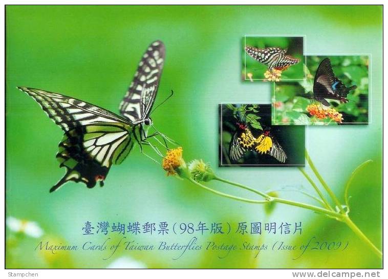 Maxi Cards(A) Taiwan 2009 Butterflies Stamps Butterfly Insect Fauna Flower-Chinese Cachet - Maximum Cards