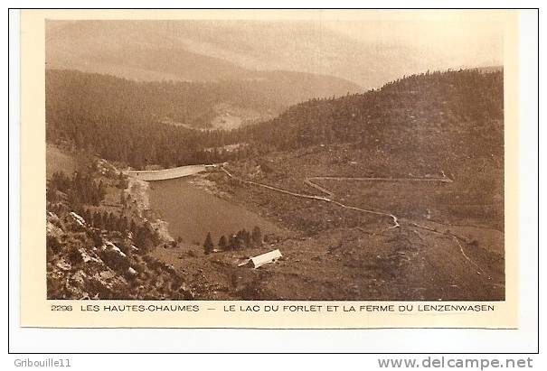 ORBEY    -   ** LA FERME DU LENZENWASEN Et  LE LAC DU FORLET **   -   Editeur :BRAUN & Cie De Mulhouse  N° 2298 - Orbey