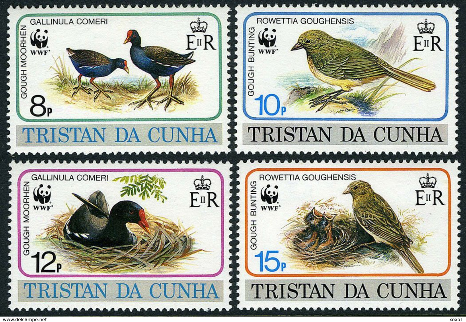 Tristan Da Cunha 1991 MiNr. 513 - 516 Birds WWF Moorhens, Buntings 4v  MNH** 12,00 € - Tristan Da Cunha