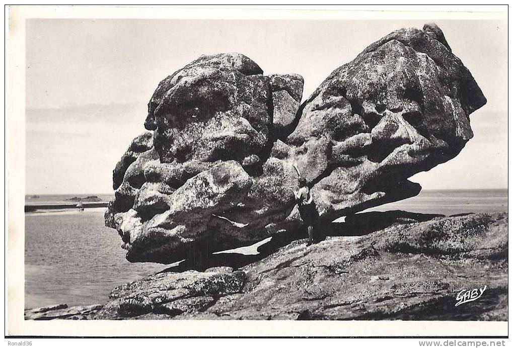 Cp 29 Finistère  ILE DE SEIN   Le Sphinx - Ile De Sein