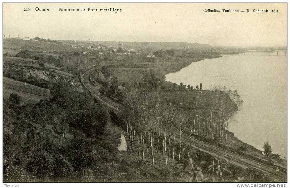 44  -  OUDON  - Panorama Et Pont Metallique  -  BELLE CARTE  - - Oudon