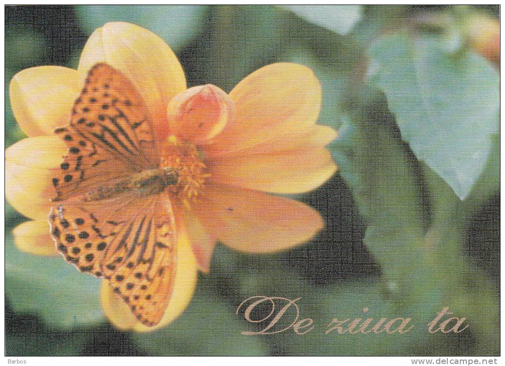 Moldova  Moldavie  Moldavia  Moldau , 1996 , Butterfly  Flowers ; Pre-paid Postcard - Moldavie