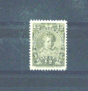 NEWFOUNDLAND -  1897 Prince Edward 1/2c MM - 1865-1902