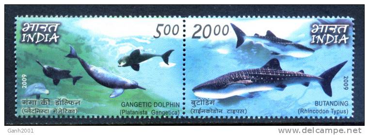 INDIA / FAUNA BALLENAS DELFINES Whales Dolphins / C829 - Ballenas