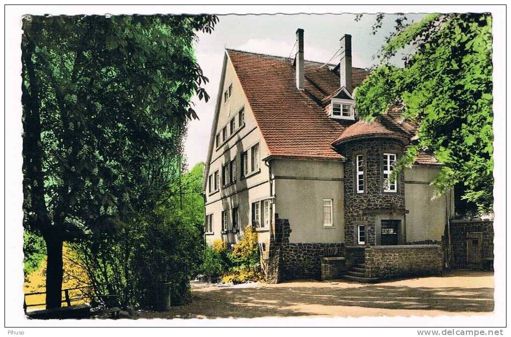 D1291  NIEDERMENDIG : Naturfreundehaus Laacher See - Mayen